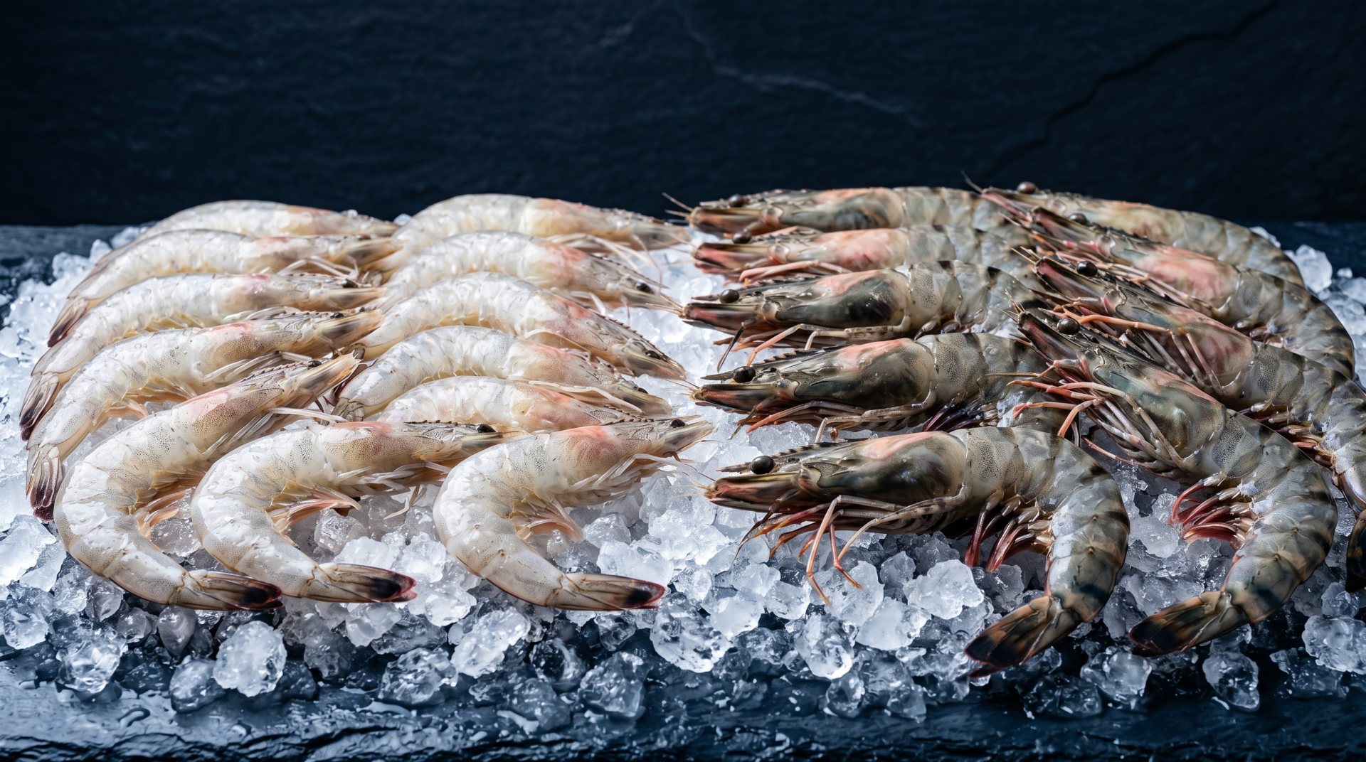 Premium fresh shrimp on ice