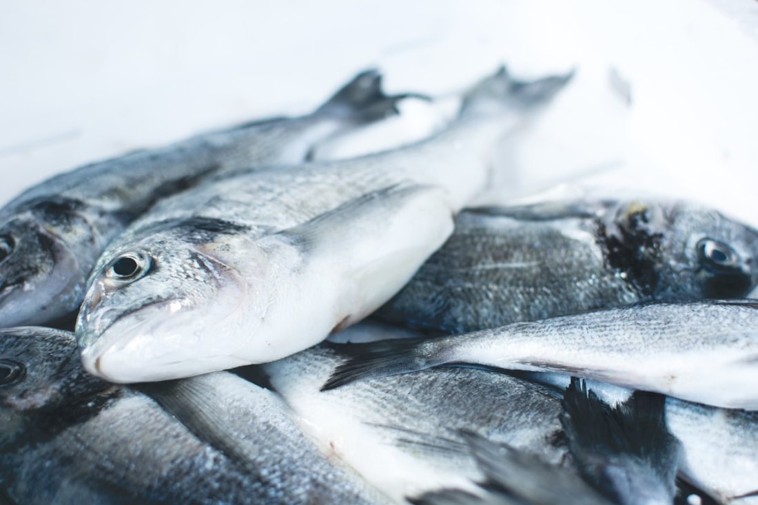 Fresh fish and seafood